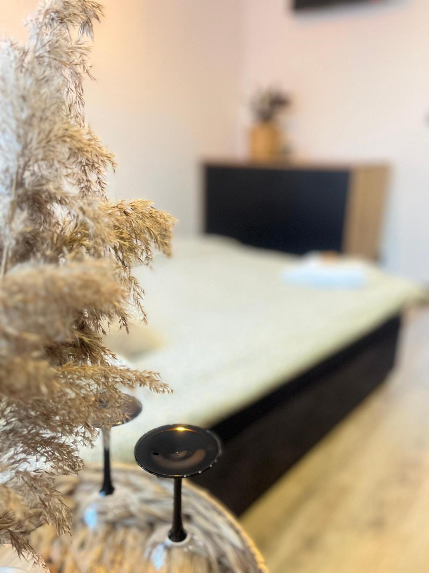 Nowoczesny Maly Apartament Nr 3 Орзис Екстериор снимка
